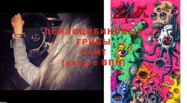 дживик Кукмор
