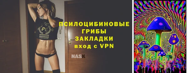 дурь Кулебаки