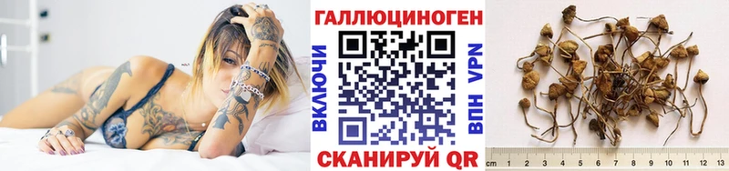 Купить закладки Кодинск Галлюциногенные грибы GOLDEN TEACHER